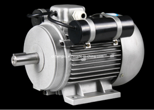 Yc Series Single Phase Induction Electric Motor (frame size from 71 to 132) (YC112M-4, 2.2kw/3HP, B3